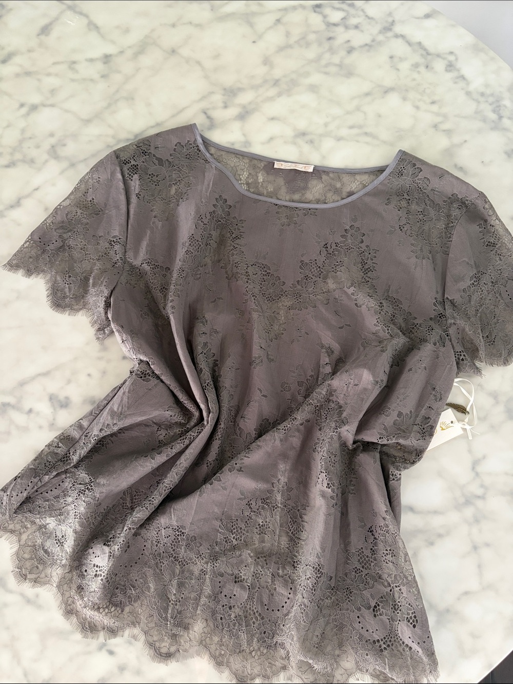 Gold Hawk NWT Short sleeve all over burnout lace Tunic Top in Grey; sz SMALL